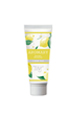 CITRON TREE シトロンツリー(CT)